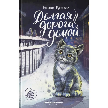 Сказки отечественных писателей, книга Долгая дорога домой заказать