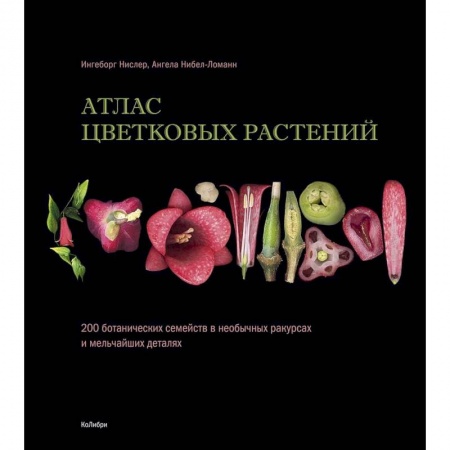 Ботаника, книга Атлас цветковых растений. 200 ботанических семейств в необычных ракурсах и мельчайших деталях заказать