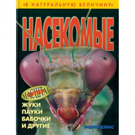 Книги, книга Насекомые заказать