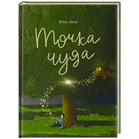 Русская современная проза, книга Точка чуда заказать
