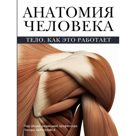 Книги, книга Анатомия человека заказать