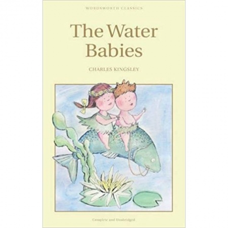 Чтение на английском языке, книга Water Babies заказать