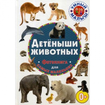 Знакомство с миром, развитие малыша, книга Детеныши животных заказать