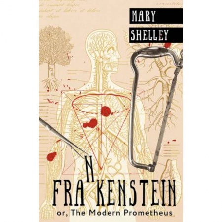 Чтение на английском языке, книга Frankenstein or, The Modern Prometheus заказать