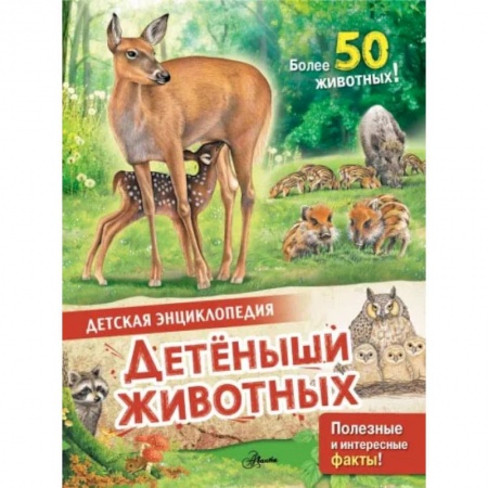 Животный и растительный мир, книга Детеныши животных заказать