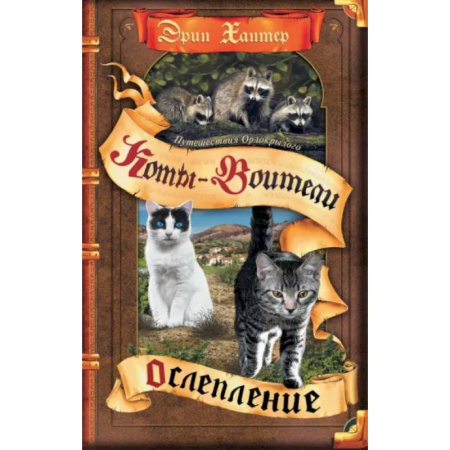 Мистика. Фантастика. Фэнтези, книга Ослепление заказать