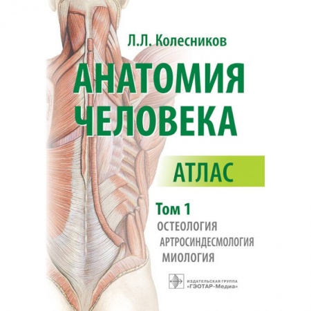 Медицинские энциклопедии и справочники, книга Анатомия человека. Атлас в 3-х томах. Том 1. Остеология, артросиндесмология, миология заказать
