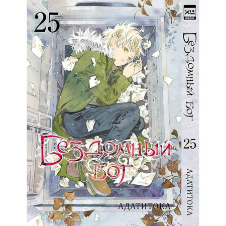 Комиксы. Манга, книга Бездомный бог заказать