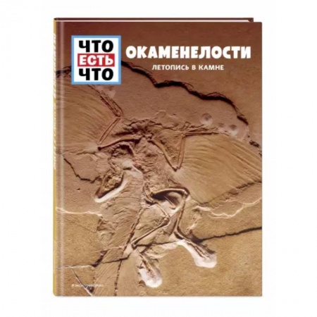 Человек. Земля. Вселенная, книга Окаменелости. Летопись в камне заказать