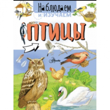 Животный и растительный мир, книга Птицы заказать