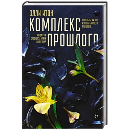 Зарубежная современная проза, книга Комплекс прошлого заказать