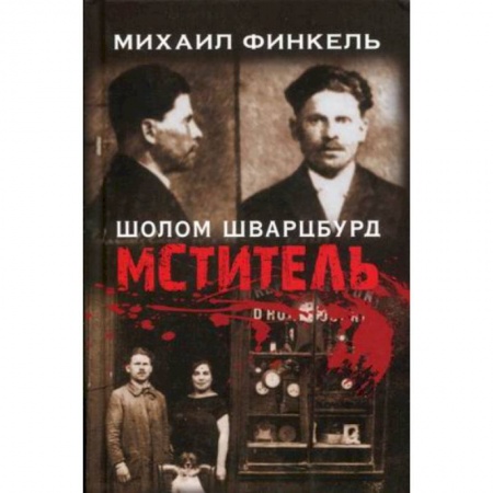 Исторический роман, книга Мститель заказать