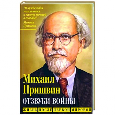 Эссе, письма, очерки, книга Отзвуки войны. Жизнь после Первой мировой заказать