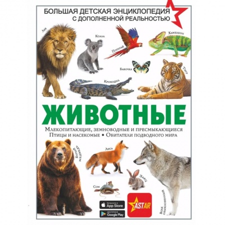 Животный и растительный мир, книга Животные заказать