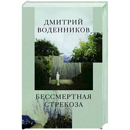 Русская поэзия, книга Бессмертная стрекоза заказать