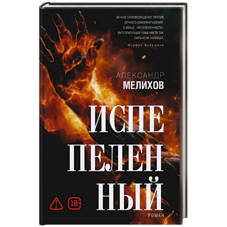 Русская современная проза, книга Испепеленный заказать