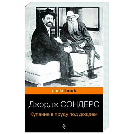 Литературная критика, книга Купание в пруду под дождем заказать