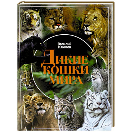 Кошки, книга Дикие кошки мира заказать