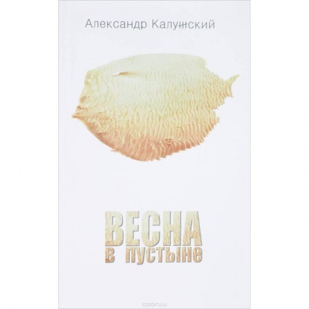 Русская поэзия, книга Весна в пустыне. Вторая книга стихов заказать