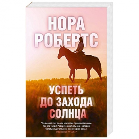 Зарубежный детектив, книга Успеть до захода солнца заказать