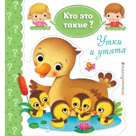 Развитие общих способностей, книга Утки и утята заказать