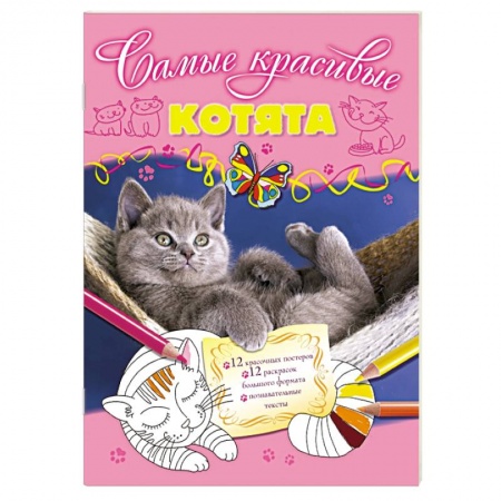Книги, книга Котята заказать