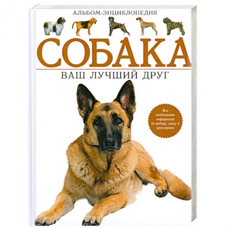 Книги, книга Собака. Ваш лучший друг. Альбом-энциклопедия заказать
