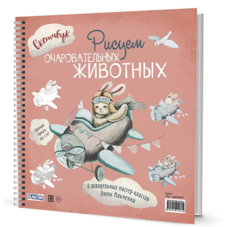 Книги для творчества, книга Рисуем очаровательных животных. 8 акварельных мастер-классов. Скетчбук (заяц на самолете) заказать