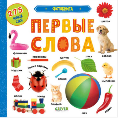 Развитие речи. Чтение, книга Фотокнига. Первые слова заказать