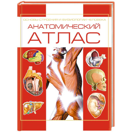 Анатомия и физиология человека, книга Анатомический атлас. Основы строения и физиологии человека заказать