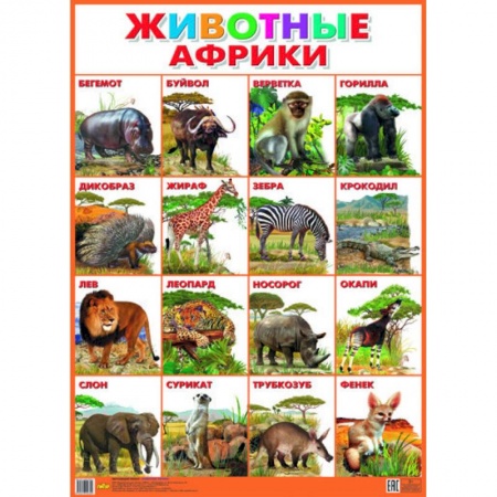 Книги, книга Плакат. Животные Африки (550х770) заказать