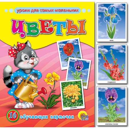 Книги, книга Обучающие карточки. Цветы заказать