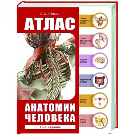 Популярная и нетрадиционная медицина, книга Атлас анатомии человека заказать