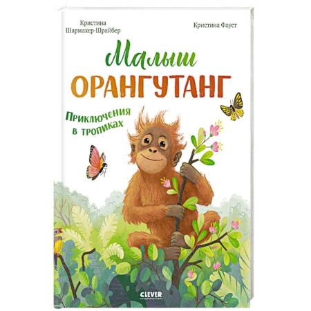 Приключения. Детективы, книга Малыш орангутанг. Приключения в тропиках заказать