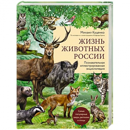 Животный и растительный мир, книга Жизнь животных России. Познавательная иллюстрированная энциклопедия заказать