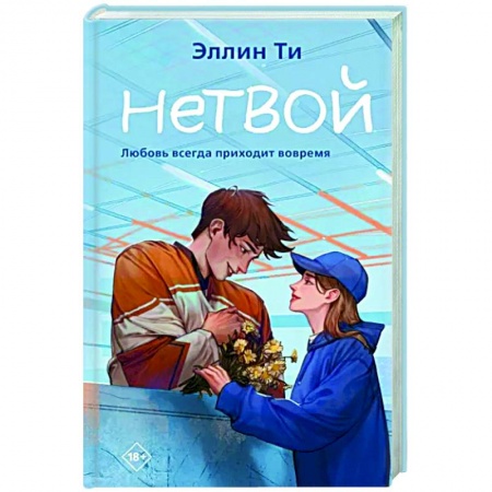 Отечественный любовный роман, книга Нетвой заказать