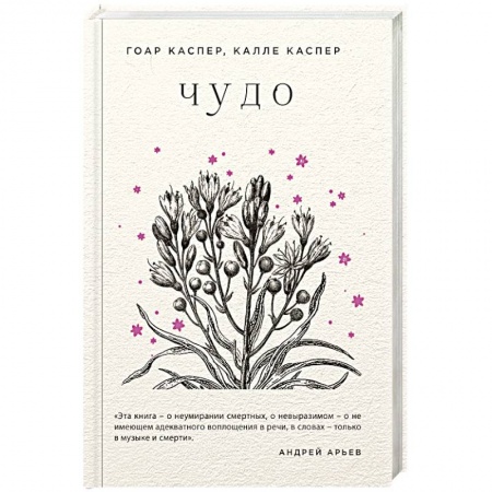 Зарубежная современная проза, книга Чудо заказать