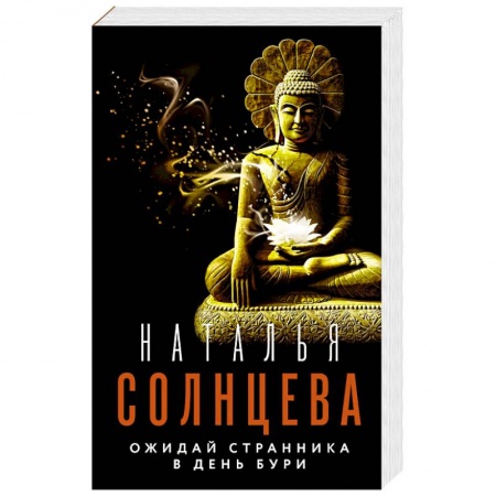 Отечественный женский детектив, книга Ожидай странника в день бури заказать