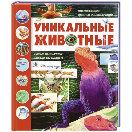 Книги, книга Уникальные животные заказать