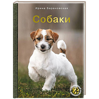Собаки