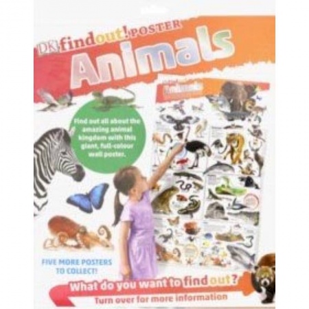 Чтение на английском языке, книга DKfindout! Animals Poster заказать