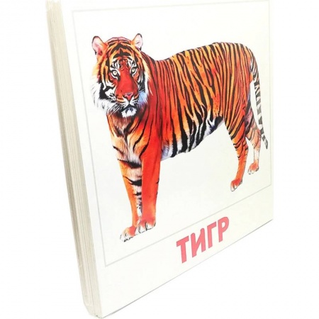 Животный и растительный мир, книга Набор карточек. Дикие животные заказать