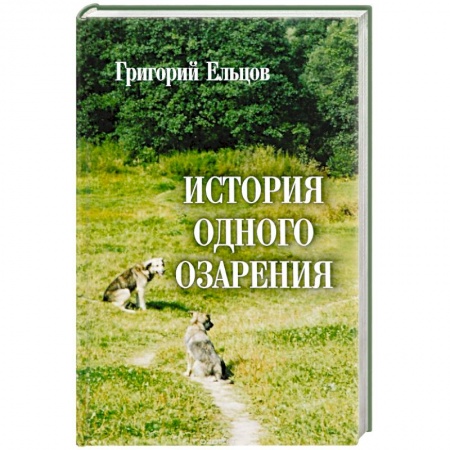 Русская современная проза, книга История одного озарения заказать