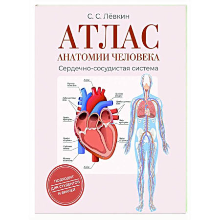 Анатомия и физиология человека, книга Атлас анатомии человека. Сердечно-сосудистая система заказать