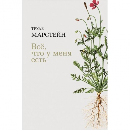 Зарубежная современная проза, книга Все, что у меня есть заказать
