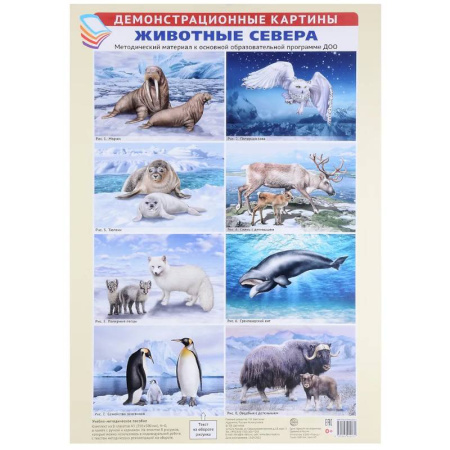 Животный и растительный мир, книга Животные Севера. Методический материал к основной образовательной программе ДОО (8 плакатов) заказать