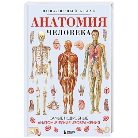 Анатомия и физиология человека, книга Анатомия человека. Популярный атлас. Самые подробные анатомические изображения заказать