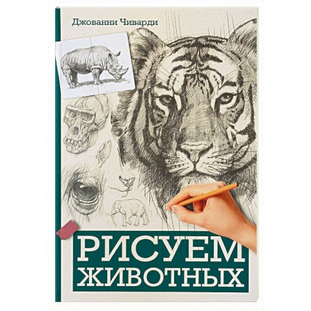 Живопись, книга Рисуем животных заказать