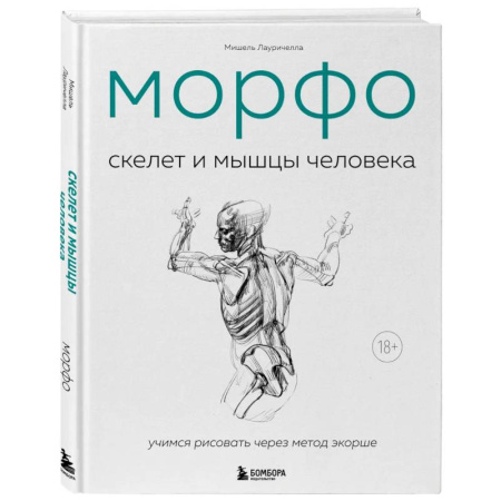 Портрет. Фигура человека, книга МОРФО. Скелет и мышцы человека. Анатомия для художников заказать