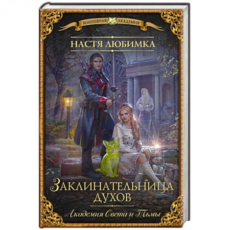 Русское фэнтези, книга Академия Света и Тьмы. Заклинательница Духов заказать